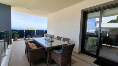 Apartment in La Zenia photo 31