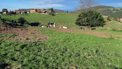 Terreno en venta en Calle Faedo, Número 0 - Vista 5