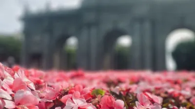 Piso en alquiler en Calle de Augusto Figueroa - Imagen 26