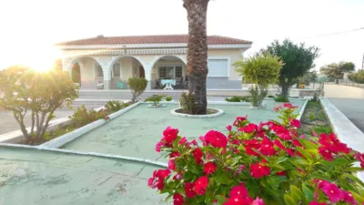 Chalet in Elche - Elx photo 3