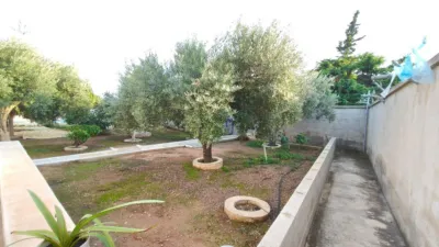 Chalet in Elche - Elx photo 47
