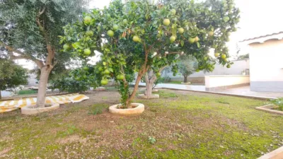 Chalet in Elche - Elx photo 49