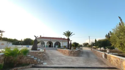Chalet in Elche - Elx photo 4