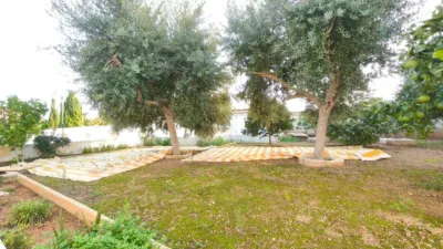 Chalet in Elche - Elx photo 50