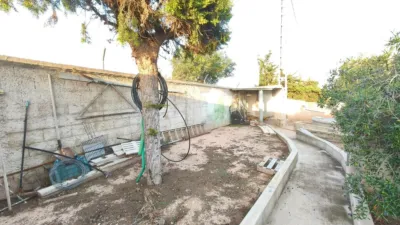 Chalet in Elche - Elx photo 58