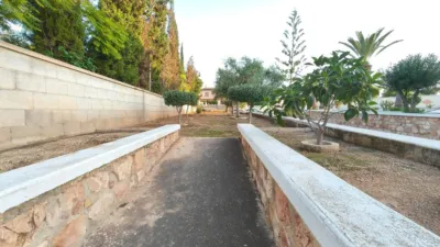 Chalet in Elche - Elx photo 63