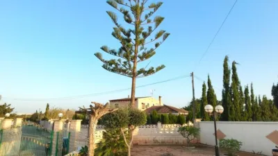 Chalet in Elche - Elx photo 66