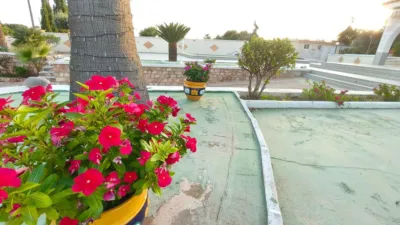 Chalet in Elche - Elx photo 68