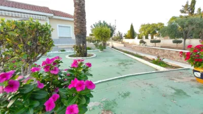 Chalet in Elche - Elx photo 69