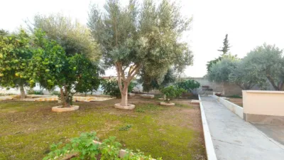 Chalet in Elche - Elx photo 71