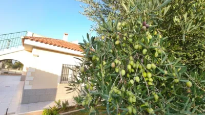 Chalet in Elche - Elx photo 72