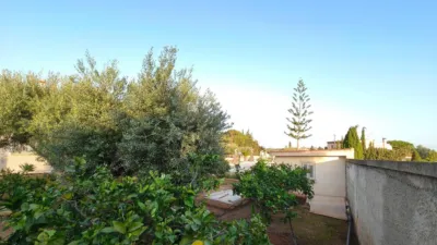 Chalet in Elche - Elx photo 73