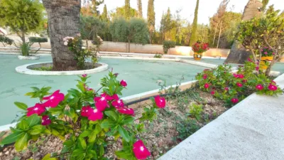 Chalet in Elche - Elx photo 77