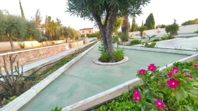 Chalet in Elche - Elx photo 78