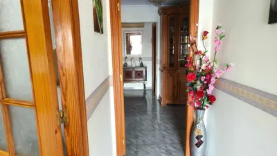 Chalet in Elche - Elx photo 7