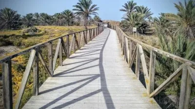 Casa – Elx / Elche, el Pinet, la Marina - Vista 5
