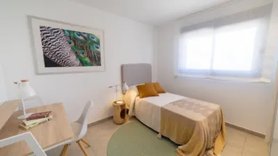 Apartment in Gran Alacant photo 36