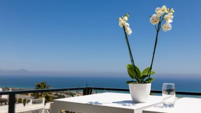 Apartment in Gran Alacant photo 40