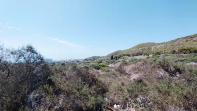 Terreno en venta en Calle Partida los Secanos - Vista 3