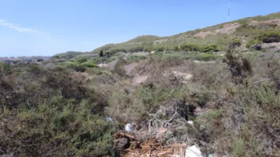 Terreno en venta en Calle Partida los Secanos - Vista 4