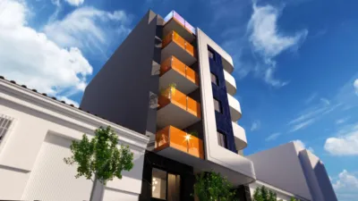 Apartment in Playa de los Locos photo 2
