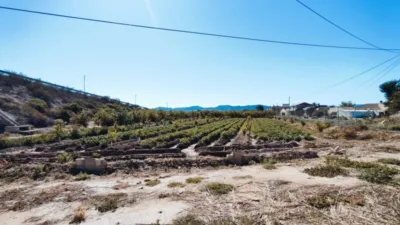 Casa – Orihuela, Vereda Liorna, Las Norias - Més