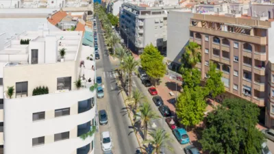 Pis – Torrevieja, El Palmeral - Vista 3