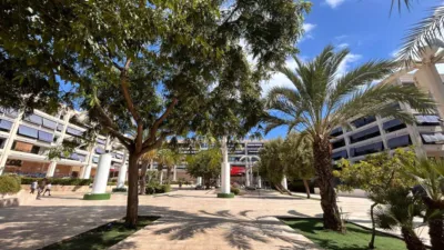 Apartment at Parcela Zr-35 Street, Sector Zo-4, El Raso, No. 1 photo 24