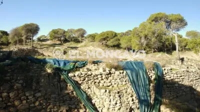 House on Avinguda de Vega Baja photo 9