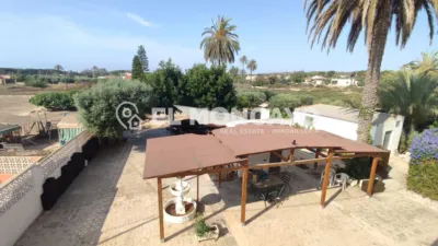 Casa – Elx - Elche - Vista 3