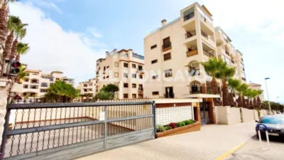 Pis – Guardamar del Segura, Urbanització Pinar de Guardamar - Vista 4