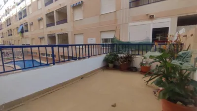 Pis – Guardamar del Segura, Urbanització Pinar de Guardamar - Vista 2
