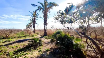 Rustic Finca in Las Bayas-Asprillas photo 27