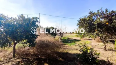 Rustic Finca in Las Bayas-Asprillas photo 28