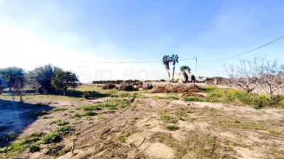 Casa – Elx - Elche - Vista 3