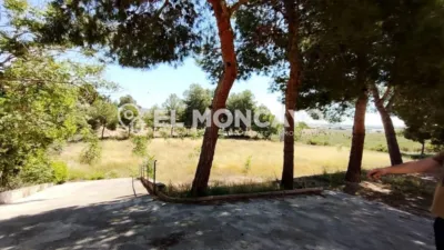 Rustic Finca in the Valencian Community photo 38