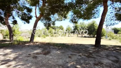 Rustic Finca in the Valencian Community photo 39