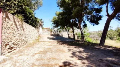 Rustic Finca in the Valencian Community photo 40