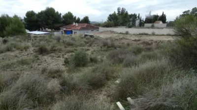 Terreno en venta en El Pino, El Romeral (Molina de Segura) de 42.500 €