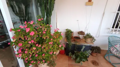 Ático en venta en Centro, Área de Molina de Segura (Molina de Segura) de 157.000 €