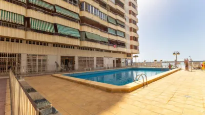 Pis – Torrevieja, San Roque - Vista 5