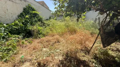 House on Calle de la Grama photo 23