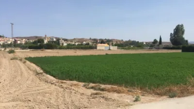Terreno en venta en Ribera de Molina, Área de Molina de Segura (Molina de Segura) de 35.000 €