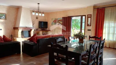 Chalet in Junta de los Rios photo 12
