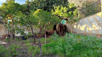 Chalet in Junta de los Rios photo 45