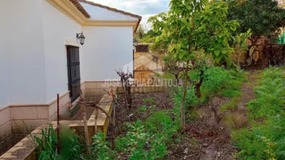 Chalet in Junta de los Rios photo 46