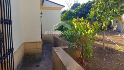 Chalet in Junta de los Rios photo 47