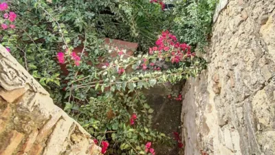 House in South Of Spain photo 13