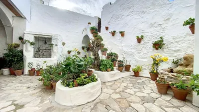 House in South Of Spain photo 6
