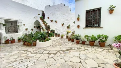 House in South Of Spain photo 8